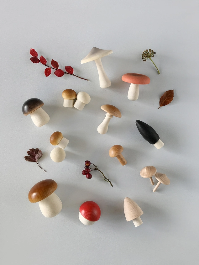 Forest mushrooms basket
