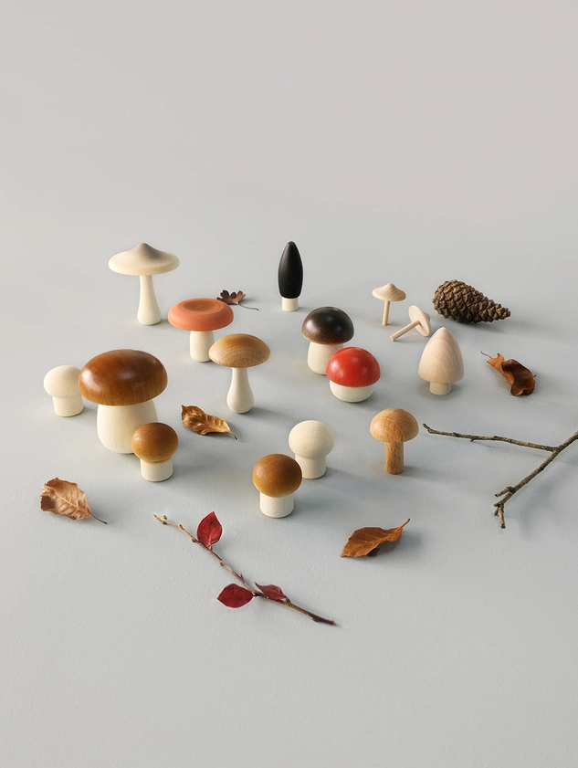 Forest mushrooms basket