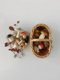 Forest mushrooms basket