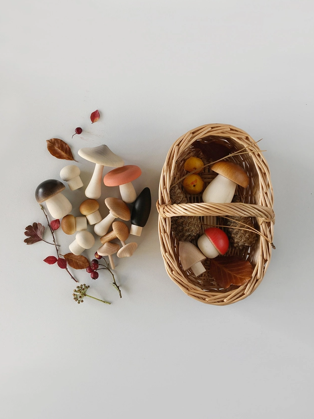 Forest mushrooms basket