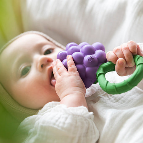 Grape Rattle & Teether