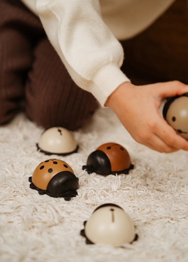 Lady bug puzzle