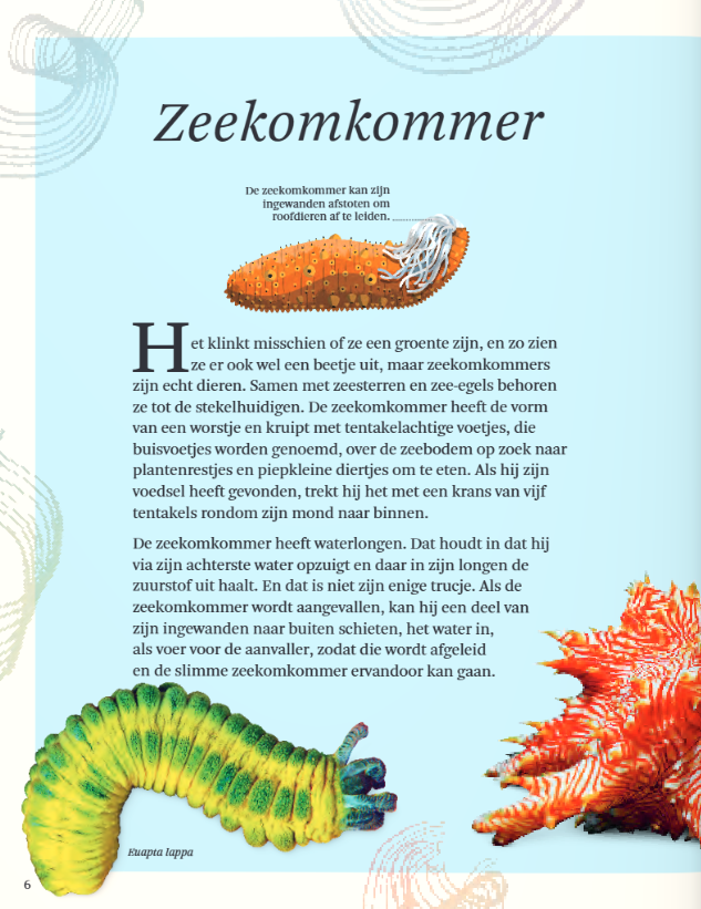 The big book of everything that lives in the water