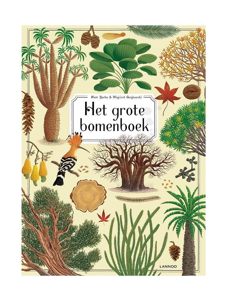 Het grote bomenboek