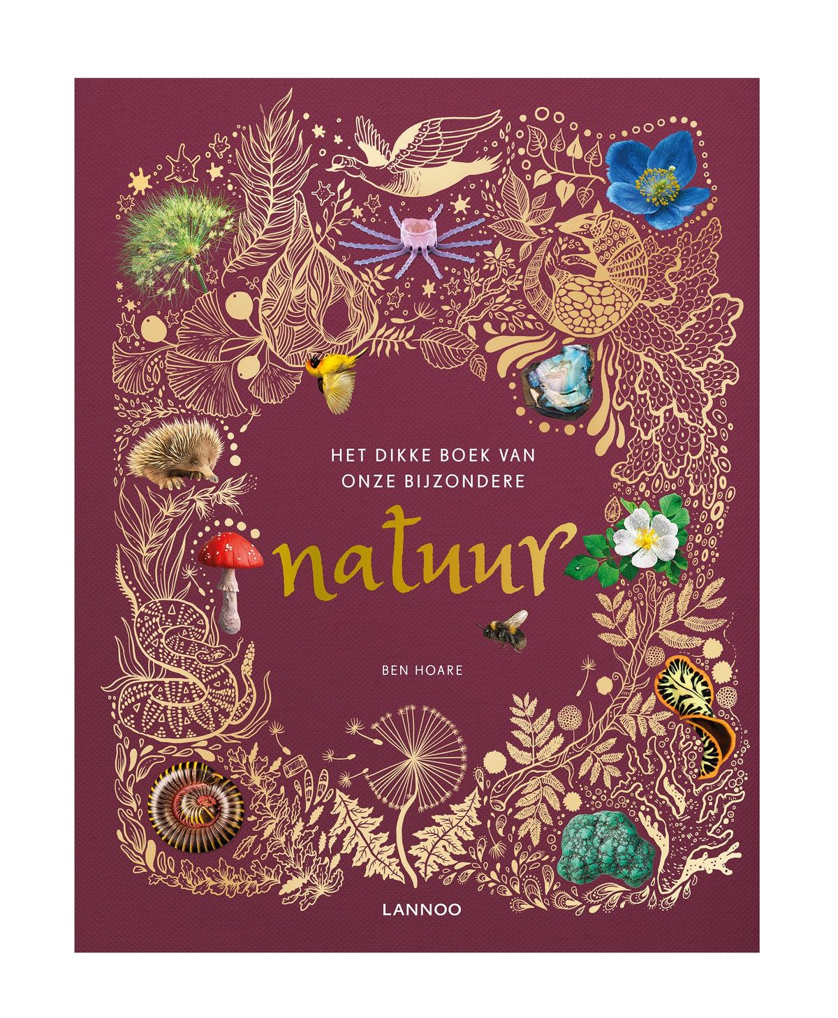 Het dikke boek van onze bijzondere natuur