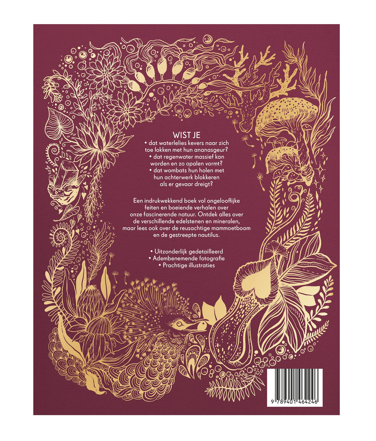 Het dikke boek van onze bijzondere natuur