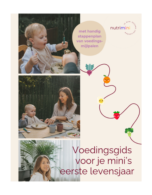 voeding tips voor baby ebook