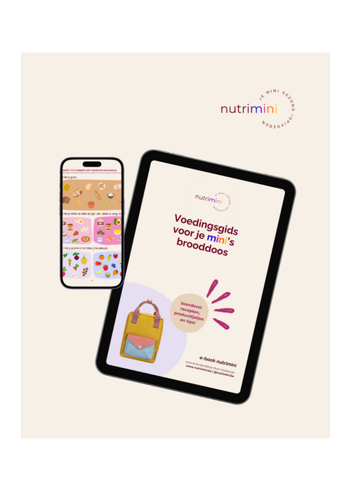 Ebook brooddoos voor kinderen tips 